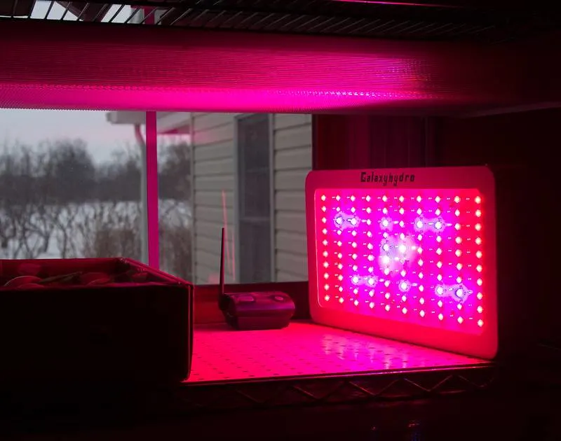 Do Grow Lights Produce Heat