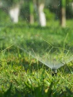 How to Fix Water Sprinkler System