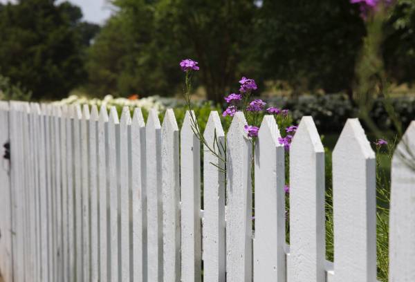 White wooden fence—why are fences so expensive