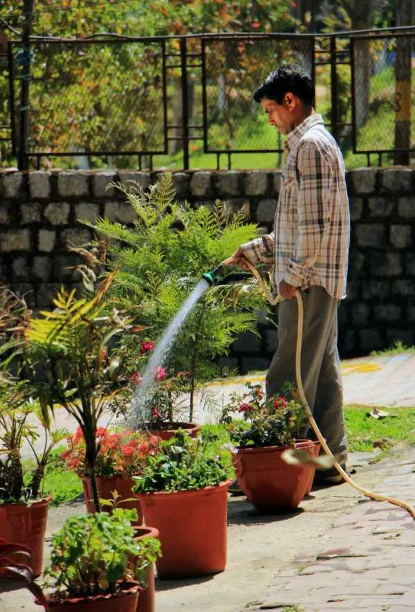 How to Compliment a Gardener