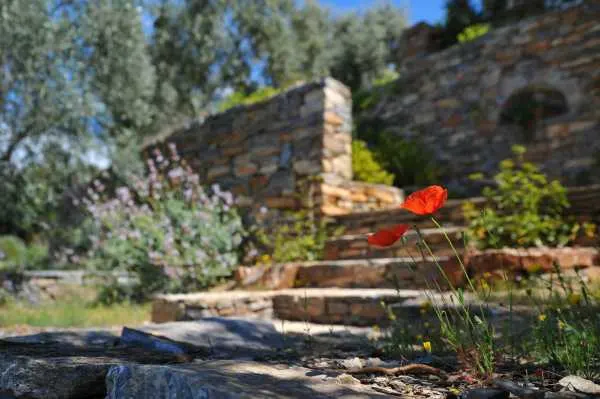 Landscaping Ideas For an Enchanting Backyard