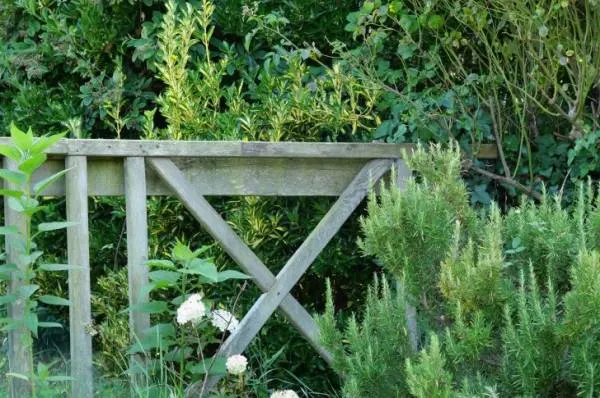 Why Plant Rosemary By Your Garden Gate