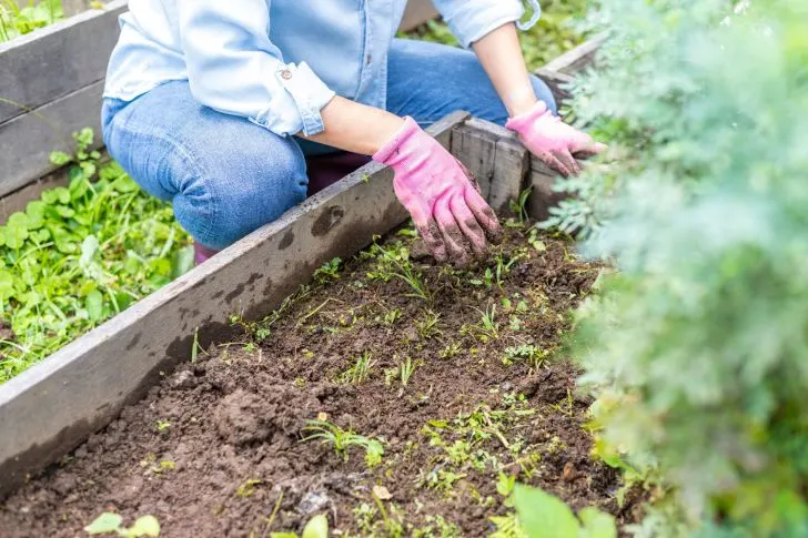 How to Build a Compost Bin Out of Pallets