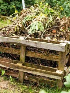 How to Build a Compost Bin Out of Pallets