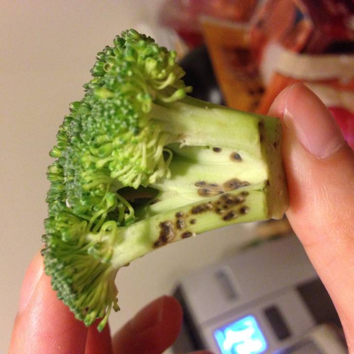 Are Black Spots on Broccoli Stems Safe to Eat