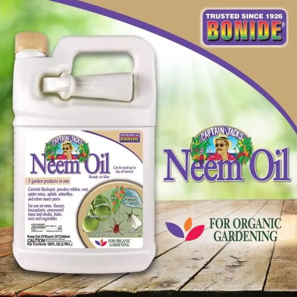 Bonide Captain Jacks Neem Oil How to Get Rid of Potato Bugs 1