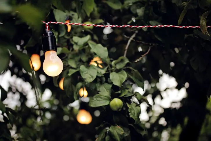 Garden Lighting Ideas - Install LED Strip Lighting Along Edges Steps and Trees