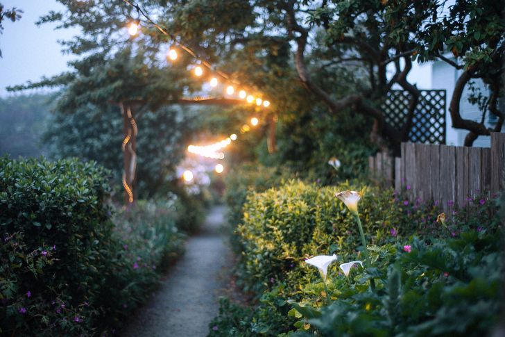 Garden Lighting Ideas - Stake Lighting for the Garden Pathway