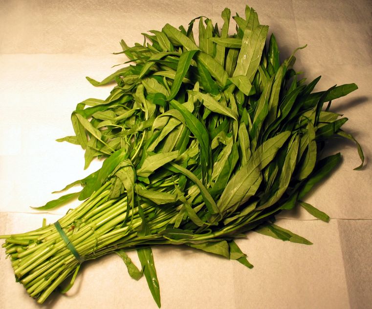 Ong choy water spinach — how to grow water spinach