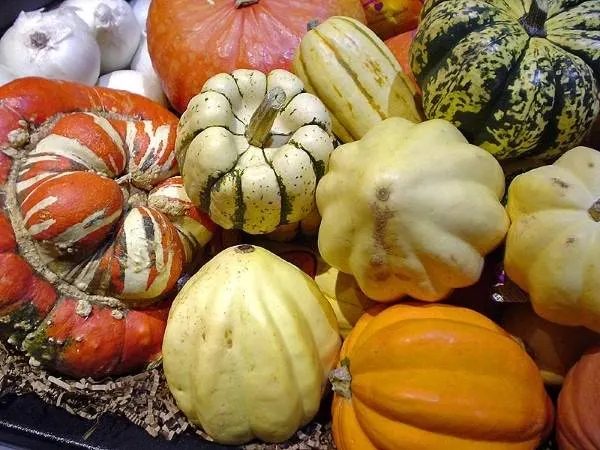An assortment of winter squashes Vegetables That Start with W
