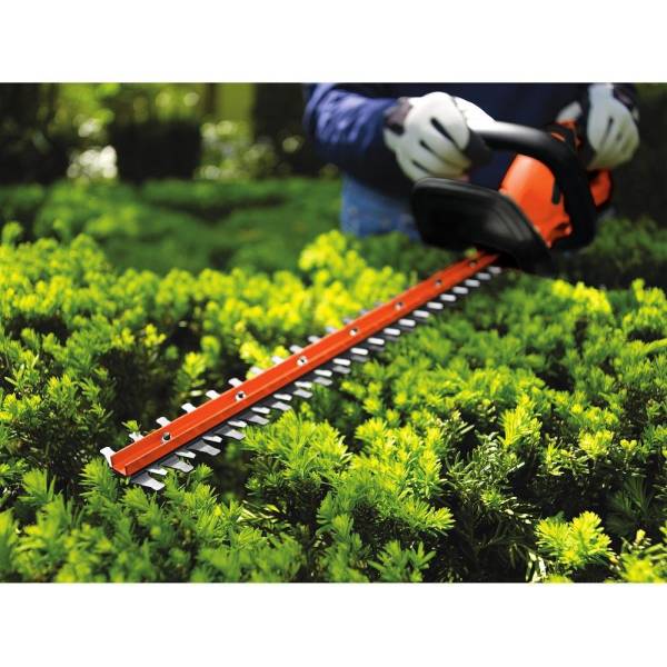 BLACKDECKER 20V MAX Cordless Hedge Trimmer How To Trim Rosemary