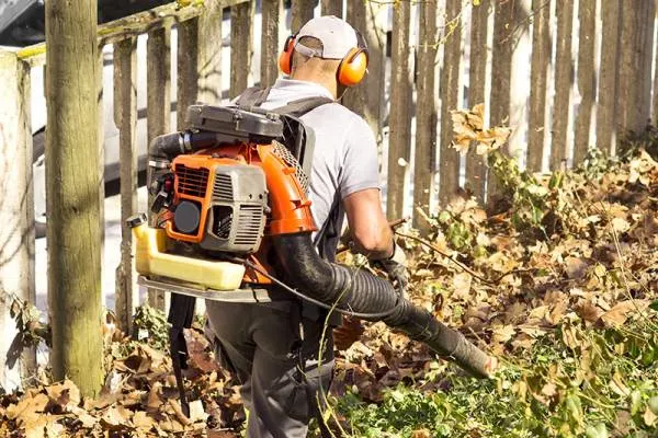 Best Backpack Blower 3