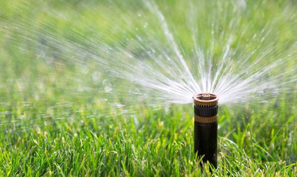 Best Lawn Sprinkler For Healthy Grass 1