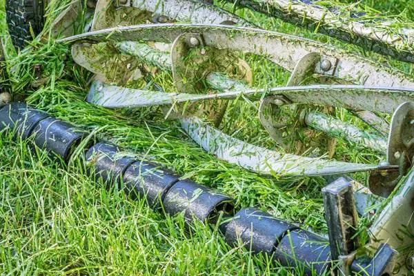 Best Reel Mower