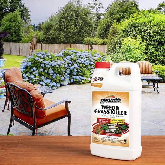 Best Weed Killer That Doesnt Kill Grass Spectracide Weed Grass Killer Concentrate