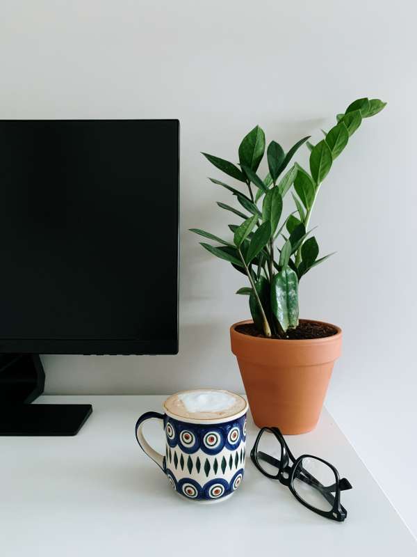 Black flat screen computer monitor beside white and blue ceramic mug and a ZZ plant