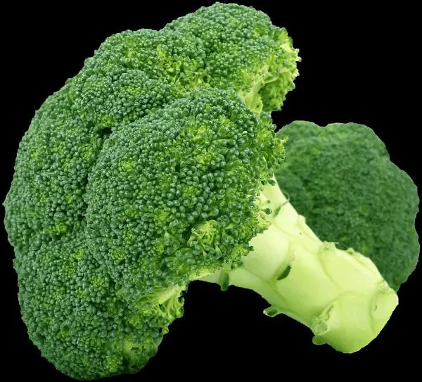 Broccoli Vegetables That Start With B