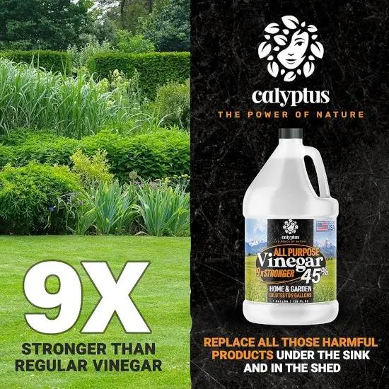 Calyptus 45 Pure Super Concentrated Vinegar How To Get Rid Of Foxtails