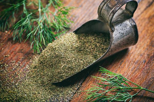 Drying Dill - How To Dry Dill