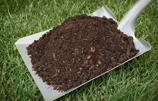Easymart Compost and Manure Indian Desi Cow Dung Fertilizer How to Improve the Sandy Soil
