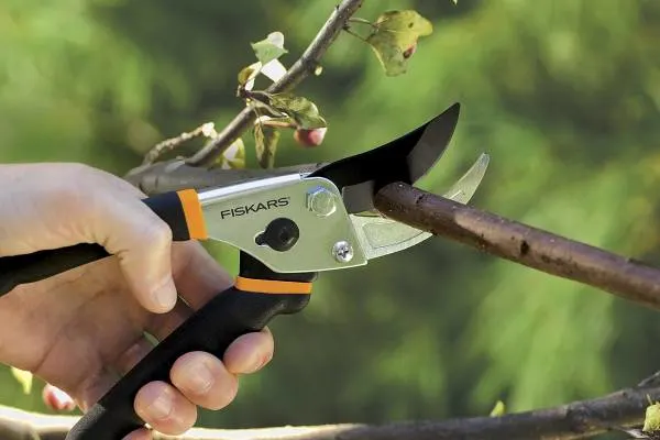 Fiskars Bypass Pruning Shears 5 8 Garden Clippers - How To Kill Vines