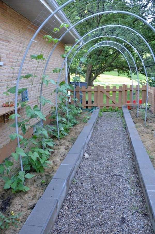 Garden Arch With Pvc Pipe via Pinterest