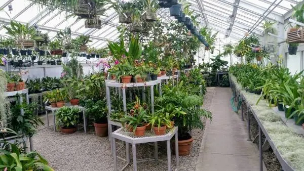 Greenhouse for Your Tropical Plants