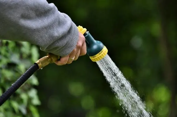 How Often to Water Lawn in Summer