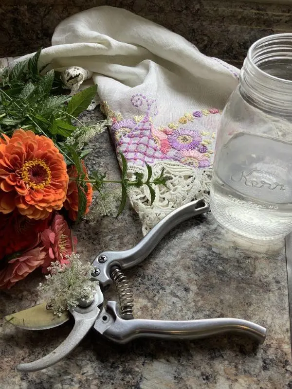 How To Prune Zinnias
