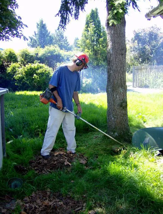 How to Apply Weed And Feed Before Rain