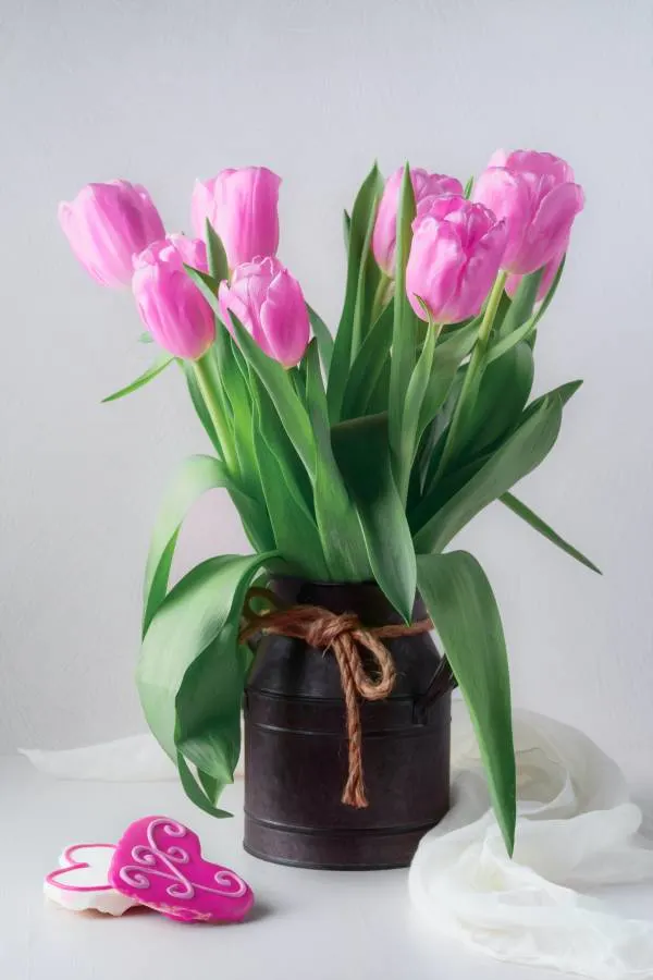 If you want to put them in a vase you should keep in mind that tulips stay vibrant for less than a week as cut flowers