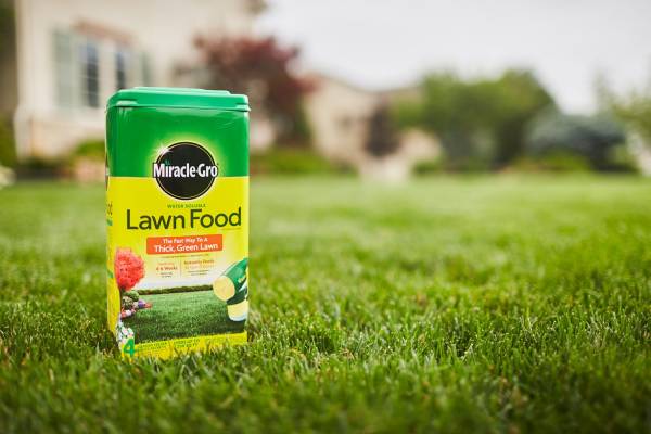Miracle Gro® Water Soluble Lawn Food 5 lb. Best Fertilizer For Green Grass