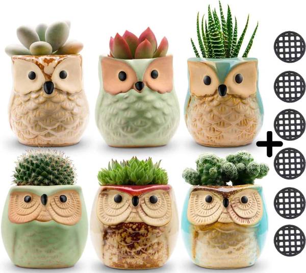 Owl Pots 2.5 InchFlowing Glaze Succulent Pots