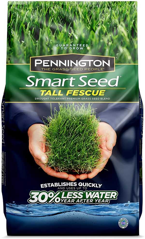 Pennington 100526677 Tall Fescue Smart Grass Best Grass For Houston