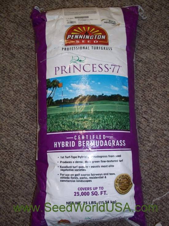 Princess 77 Hybrid 2 Lb Bermuda Grass Seed Best Bermuda grass seed