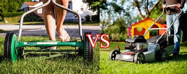 Reel Mowers vs. Lawn Mowers