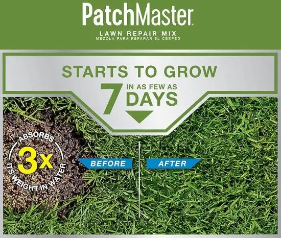 Scotts PatchMaster Grass Seed All In One for Sandy Soil Best Grass Seed for Sandy Soil 2