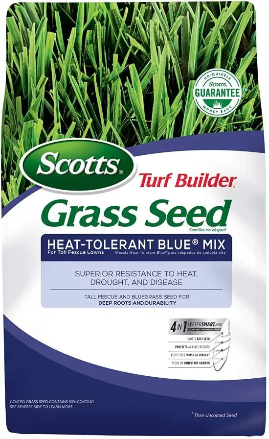 Scotts Turf Heat Tolerant Builder Grass Seed Best Grass Seed for Florida Scotts Turf Heat Tolerant Builder Grass Seed Best Grass Seed for Florida
