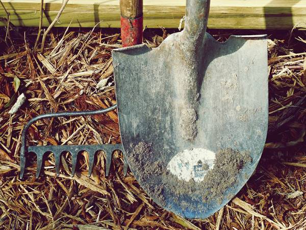 Shovel - Best Soil Mix For Raised Beds