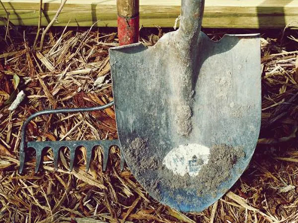Shovel - Best Soil Mix For Raised Beds