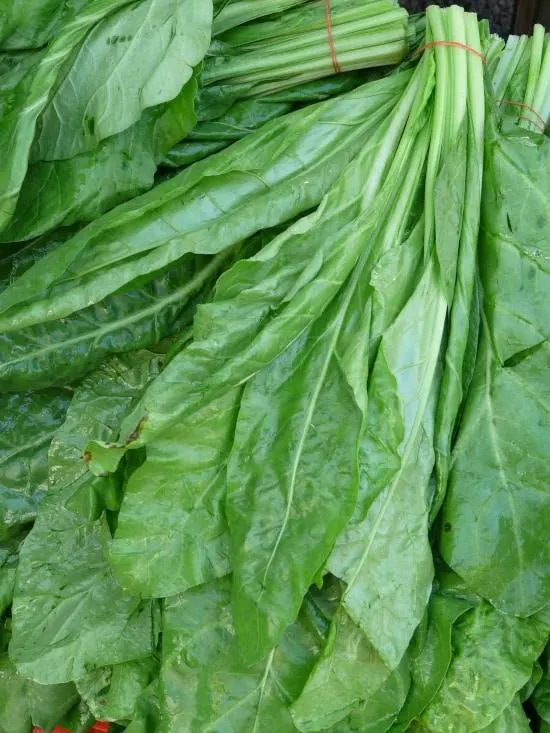 Spinach What Is the Healthiest Vegetable