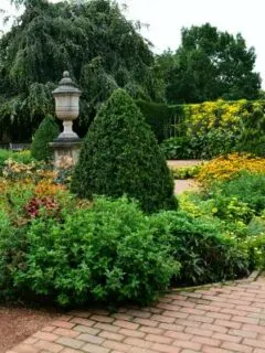 The Art of Gardening and Landscaping