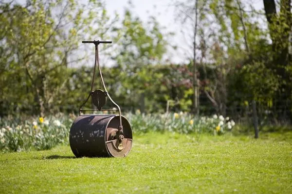 Why Use a Lawn Roller
