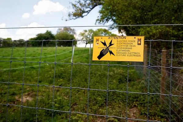 electric fence - Does Deer Eat Roses