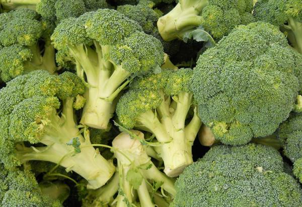 how long does broccoli last
