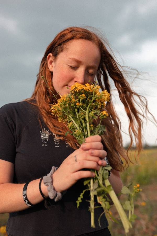 A woman holding a bunch of early sunflowers in her hands What Do Sunflowers Smell Like