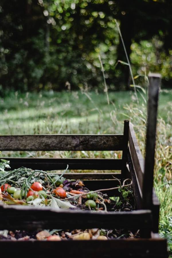 Compost bin—how to attract crows to your yard