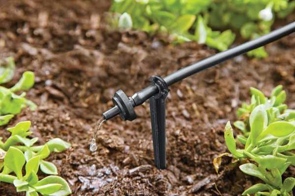 Drip irrigation. Best Way to Water Grass Without a Sprinkler System
