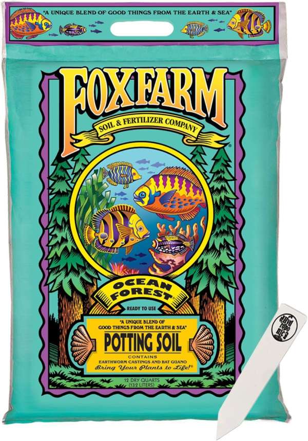 FoxFarm Ocean Forest Potting Soil Mix Indoor Outdoor for Garden and Plants Best Soil for Monstera