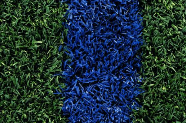 Green and blue artificial grass—things to consider before buying artificial grass